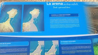 GC-Paseo Las Canteras (Las Palmas) 2026-142.jpg
